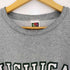 フルーツオブザルーム FRUIT OF THE LOOM 90s SUPER COTTON MICHIGAN STATE 2段カレッジ クルーネックスウェット メンズ import:L