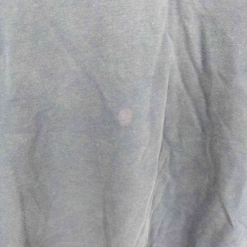 ポロバイラルフローレン Polo by RALPH LAUREN CUSTOM FIT ビッグポニー刺繍 アームプリント ロングスリーブTシャツ メンズ import:XXL