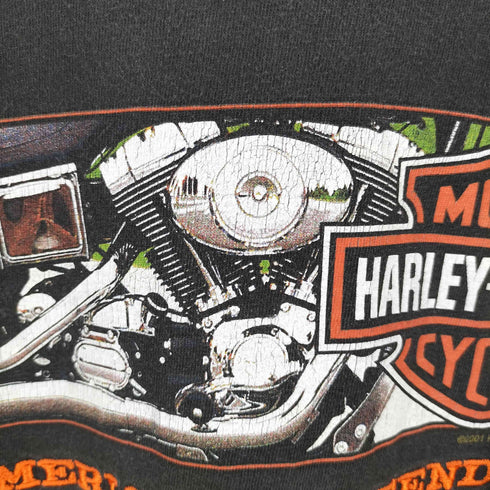ハーレーダビッドソン HARLEY-DAVIDSON 00s メキシコ製 プリント 刺繍 Tシャツ メンズ import:L