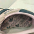 アディダスオリジナルス adidas Originals HANDBALL SPEZIAL ハンドボール スペツィアル レディース JPN:22.5
