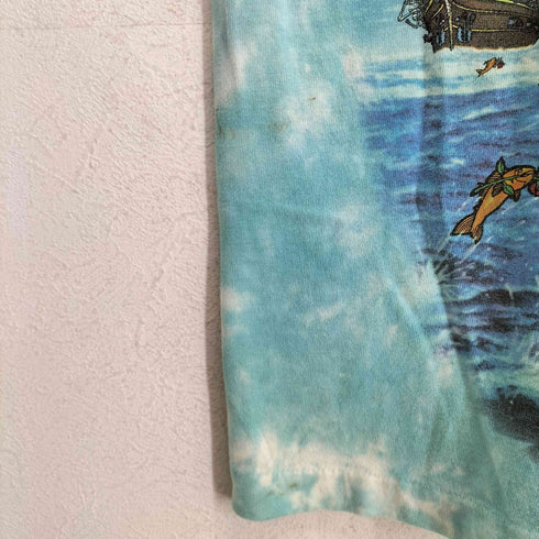フルーツオブザルーム FRUIT OF THE LOOM 90s USA製 1993 袖裾シングル タイダイ柄 SHIPS OF FOOLS 両面プリントバンドTシャツ メンズ XL