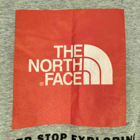ザノースフェイス THE NORTH FACE RED SQUARE TEE メンズ import:M