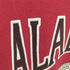 ジャージーズ JERZEES 90s USA製 ALABAMAプリント クルーネックスウェット メンズ import:XL