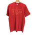 90S FRUIT OF THE LOOM ボディ USA製 TEXAS スター ラメ プリント Tシャツ 袖シングルステッチ メンズ import:XL