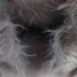 SHESAY ファーハンドバッグ レディース