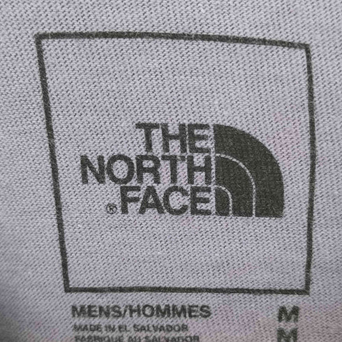 ザノースフェイス THE NORTH FACE 両面プリント S/S Tシャツ メンズ JPN:M