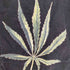 ワコマリア WACKO MARIA ×HIGH TIMES MARIJUANA SWIMMING SHORTS メンズ JPN:M