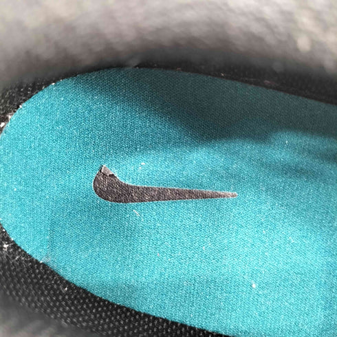 ナイキ NIKE WMNS Tech Hera ウィメンズ テックヘラ ローカットスニーカー レディース 25cm