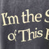 フルーツオブザルーム FRUIT OF THE LOOM 80-90s USA製 シングルステッチ フロントプリントTシャツ メンズ import:L