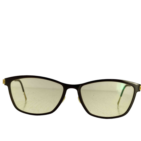 リンドバーグ LINDBERGH BUFFALO TITANIUM ウェリントンサングラス メンズ 53□15 135