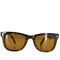 レイバン Ray-Ban WAYFARER FOLDING CLASSIC メンズ 50□22