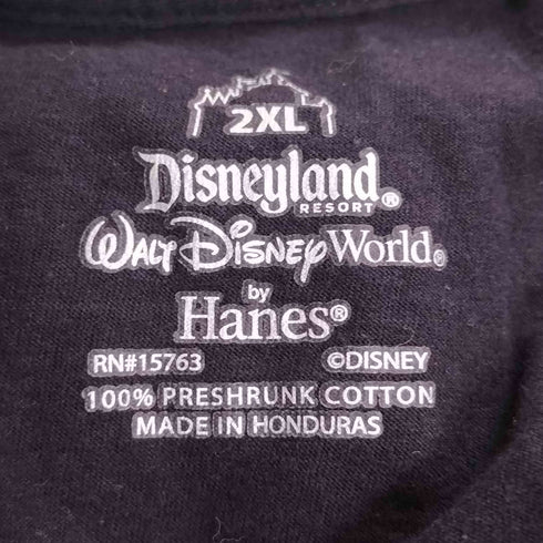 ヘインズ Hanes ホンジュラス製 SPACE MOUNTAIN プリント クルーネックTシャツ メンズ 2XL