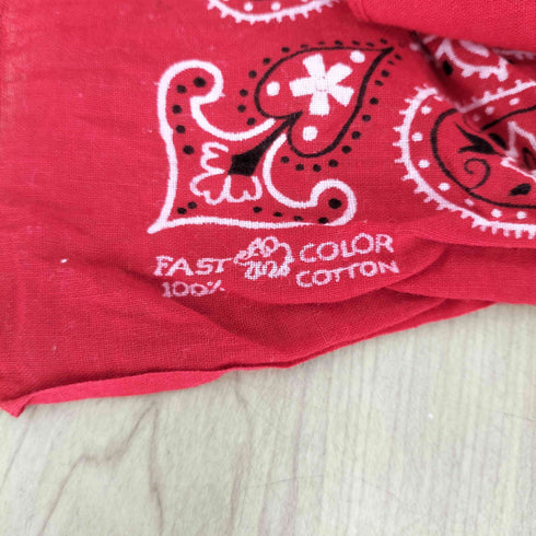 FAST COLOR ペイズリー柄 バンダナ メンズ