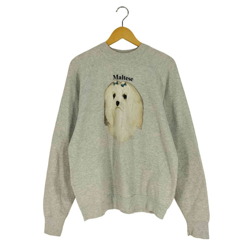 フルーツオブザルーム FRUIT OF THE LOOM 90S USA製 Maltese ドッグプリント ラグランスウェット メンズ import:XL