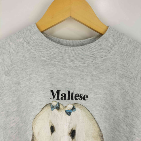 フルーツオブザルーム FRUIT OF THE LOOM 90S USA製 Maltese ドッグプリント ラグランスウェット メンズ import:XL
