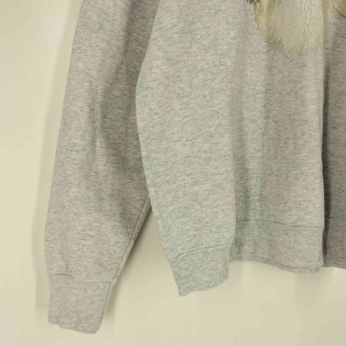 フルーツオブザルーム FRUIT OF THE LOOM 90S USA製 Maltese ドッグプリント ラグランスウェット メンズ import:XL