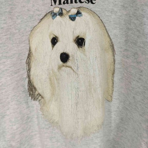 フルーツオブザルーム FRUIT OF THE LOOM 90S USA製 Maltese ドッグプリント ラグランスウェット メンズ import:XL