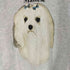 フルーツオブザルーム FRUIT OF THE LOOM 90S USA製 Maltese ドッグプリント ラグランスウェット メンズ import:XL