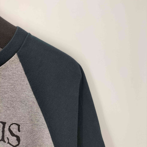 00S anvil ボディ USA製 ハードコア パンク バンド プリント ラグランスリーブ Q/S Tシャツ メンズ import:L