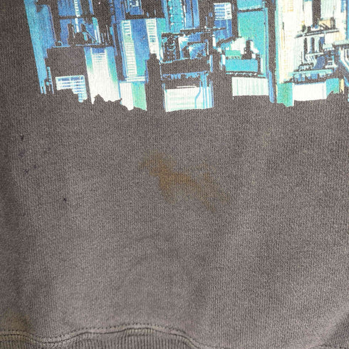 セントマイケル SAINT MICHAEL GS_CRW-N SWT/GST IN THE S メンズ import:M