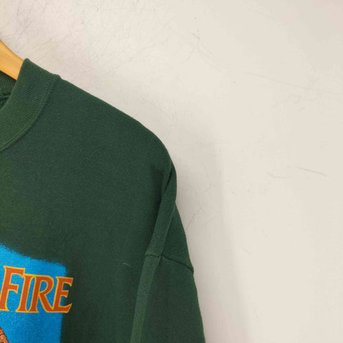 ジャージーズ JERZEES 90s USA製 ネバダ州立公園プリントスウェット メンズ import:L