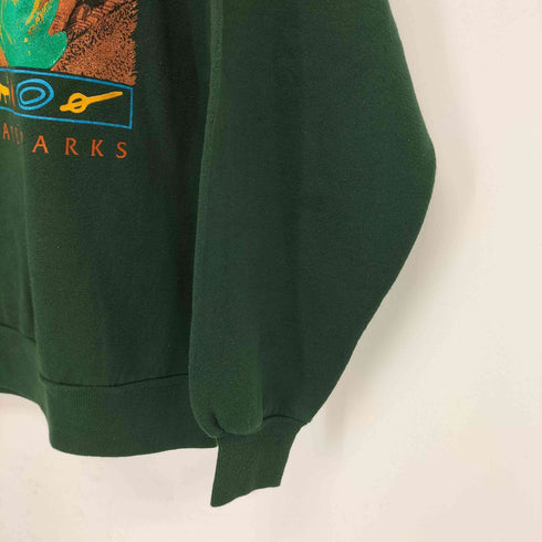 ジャージーズ JERZEES 90s USA製 ネバダ州立公園プリントスウェット メンズ import:L