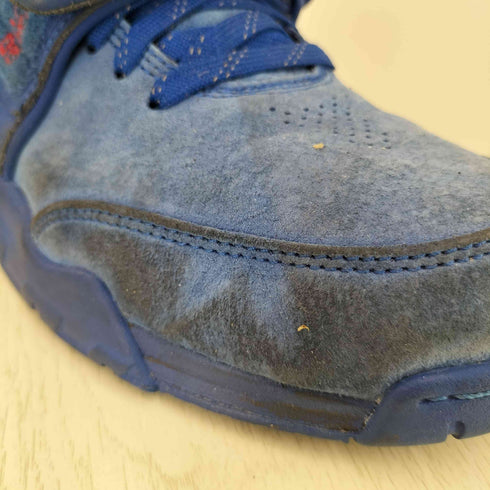 ナイキ NIKE AIR TRAINER VICTOR CRUZ PREMIUM メンズ 27cm