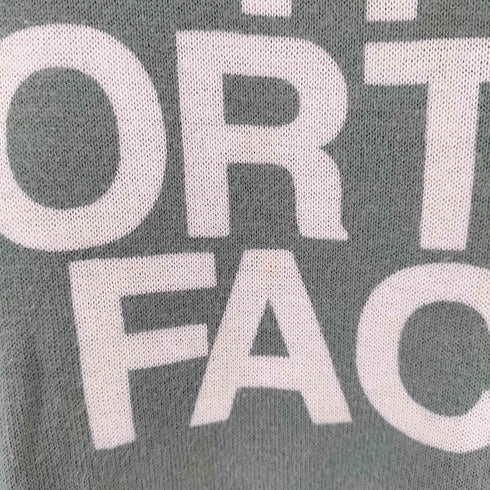 ザノースフェイス THE NORTH FACE ロゴ プリント クルーネック Tシャツ レディース import:L