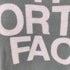 ザノースフェイス THE NORTH FACE ロゴ プリント クルーネック Tシャツ レディース import:L