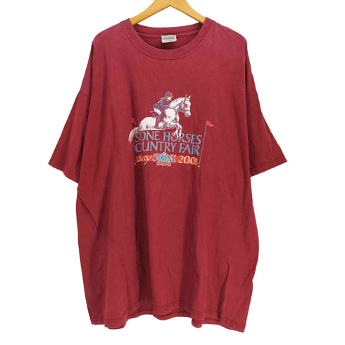 ヘインズ Hanes 00S BEEFY STONE HORSEES プリント 半袖カットソー メンズ import:XXL