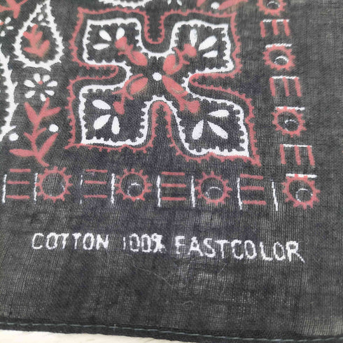 FASTCOLOR ペイズリーバンダナ メンズ