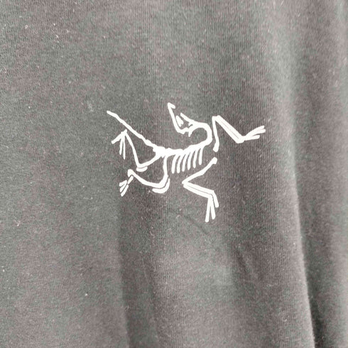 アークテリクス ARCTERYX クラッグSLコットンショートスリーブ メンズ JPN:S