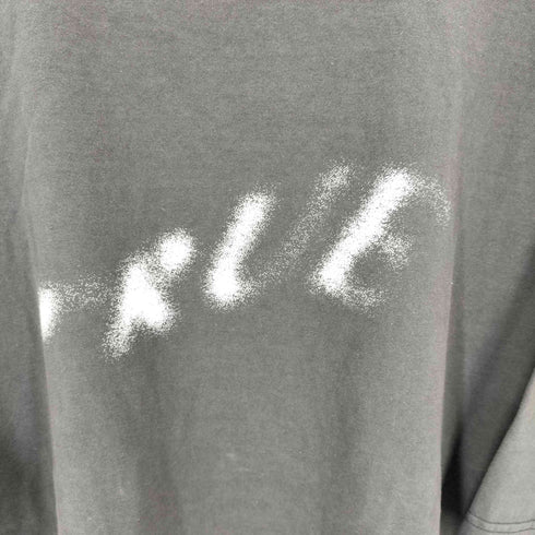 ネーム Name. SILKETE COTTON PRINT BIG TEE メンズ JPN:2