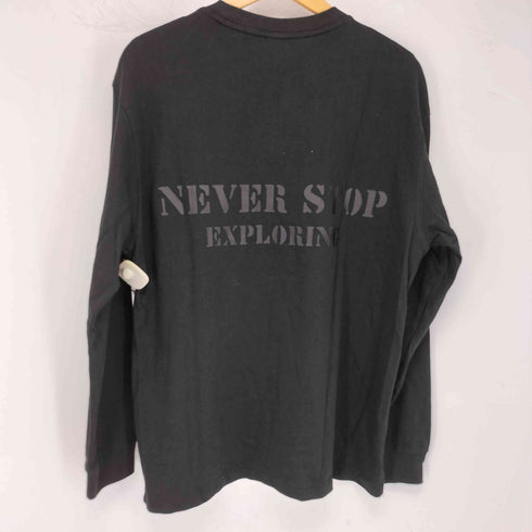 ザノースフェイス THE NORTH FACE NSE L/S R/TEE メンズ import:L