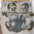 dydoshop Printed Chrome Bear Maxi Skirt レディース