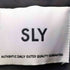スライ SLY 24aw LEATHER FLIGHT ジャケット レディース JPN:2