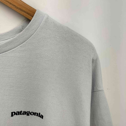 パタゴニア patagonia 21SS P-6 LOGO RESPONSI BILI-TE P-9ロゴ・レスポンシビリティー メンズ import:XL