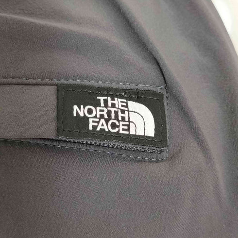 ザノースフェイス THE NORTH FACE APEX RELAX PANT エイペックスリラックスパンツ メンズ import:L