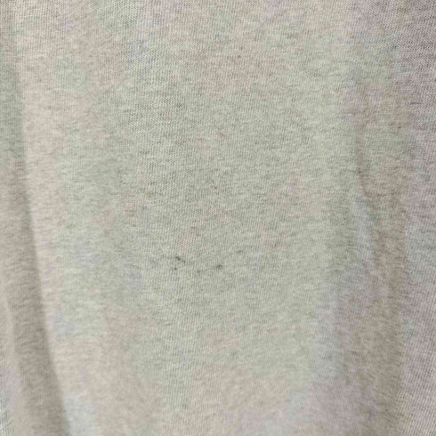 チャンピオン Champion コットン ロゴプリント L/S Tシャツ メンズ L