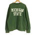 ジャンスポーツ JanSport 90-00S メキシコ製 MICHIGAN STATE カレッジロゴ クルーネックスウェット メンズ import:L