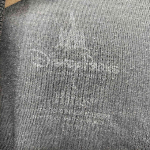 ヘインズ Hanes キャラクタープリントリンガーTシャツ メンズ