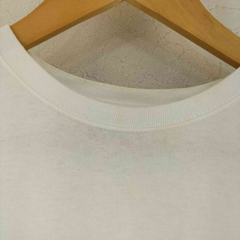 ステューシー Stussy Wingspan Tee Tシャツ メンズ import:M