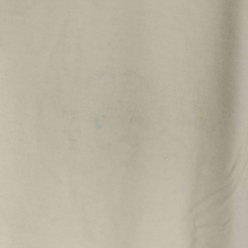 ステューシー Stussy Wingspan Tee Tシャツ メンズ import:M