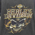 ハーレーダビッドソン HARLEY-DAVIDSON フロントプリント 半袖tシャツ メンズ