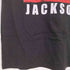 ひび割れ加工 アーティストプリント Tシャツ メンズ JPN:M