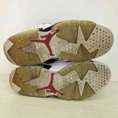 ジョーダンブランド JORDAN BRAND Air Jordan 6 Carmine 2021 メンズ JPN:26.5