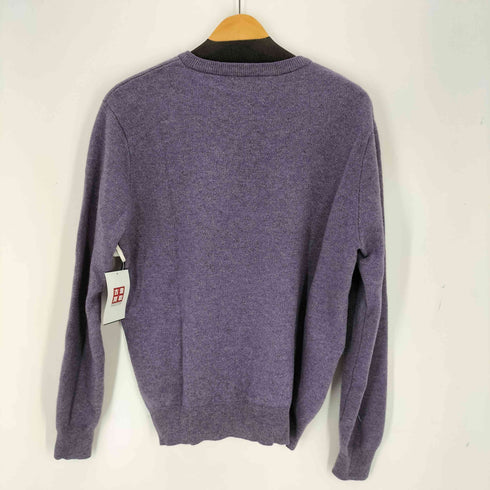 BEST COMPANY CASHMERE カシミヤ混 Vネックニット メンズ JPN:M