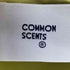 COMMON SCENTS L/S レギュラーカラー シャツ メンズ 1