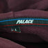 パレス PALACE BASICALLY A HOODY メンズ import:L