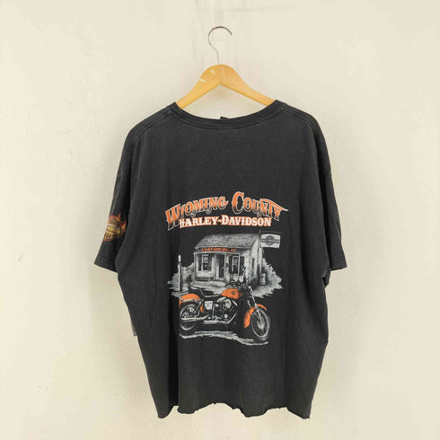 ハーレーダビッドソン HARLEY-DAVIDSON 00s ファイヤーパターン ガール バイク プリント Tシャツ メンズ 2X